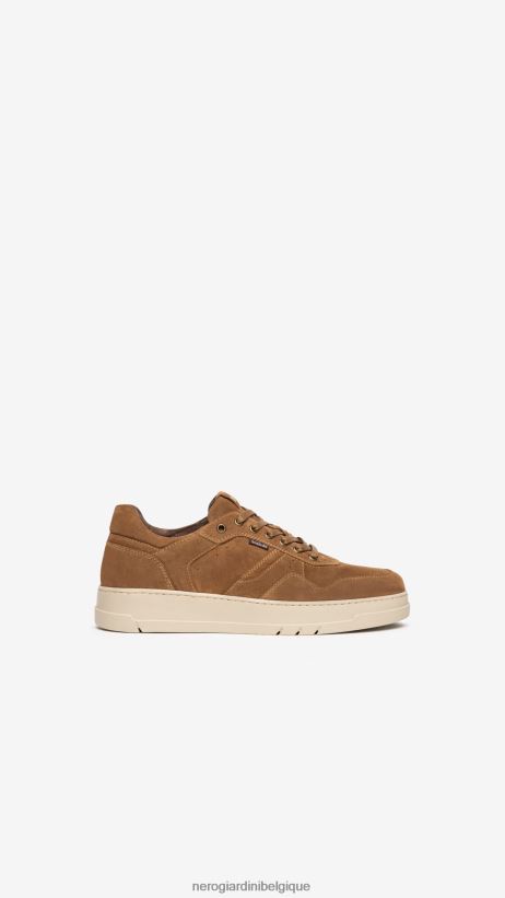 chaussure être NeroGiardini Hommes art. baskets en daim i202590u malto F2F08N340